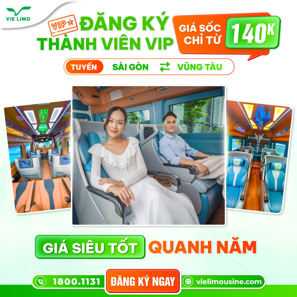 Các dịch vụ khác của Vie Limo