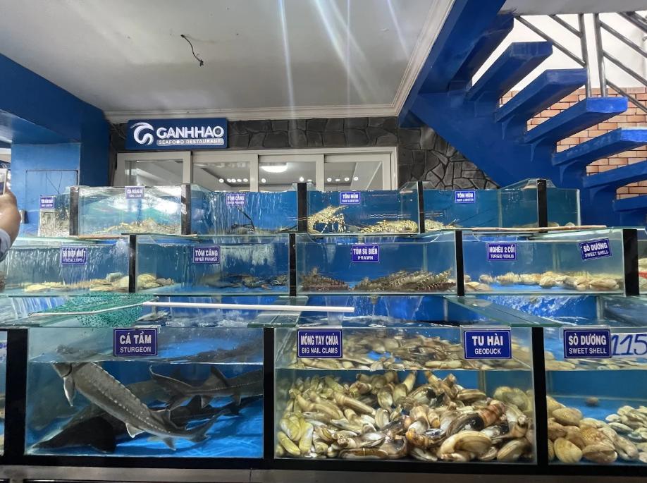 Gành Hào Quán có nguồn hải sản tươi ngon chất lượng