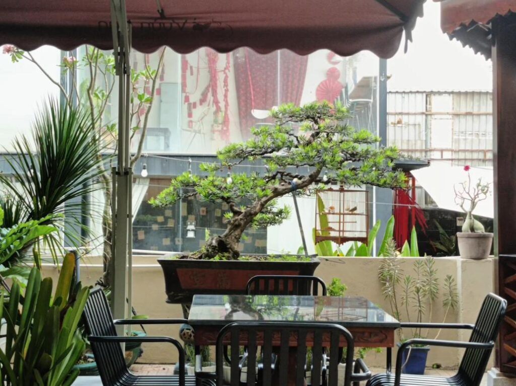 Vườn Lan Coffee & Tea