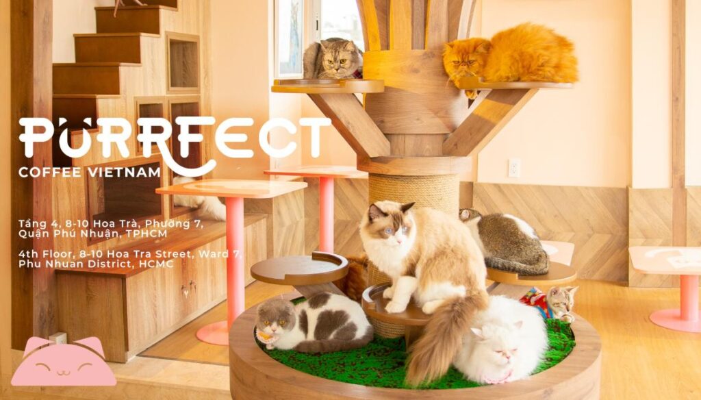 Cafe Lafam - Quán cafe Phú Nhuận có nhiều thú cưng cực yêu