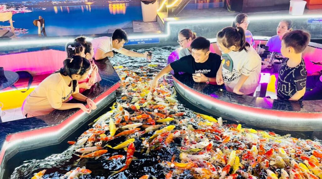 King Koi Coffee Garden